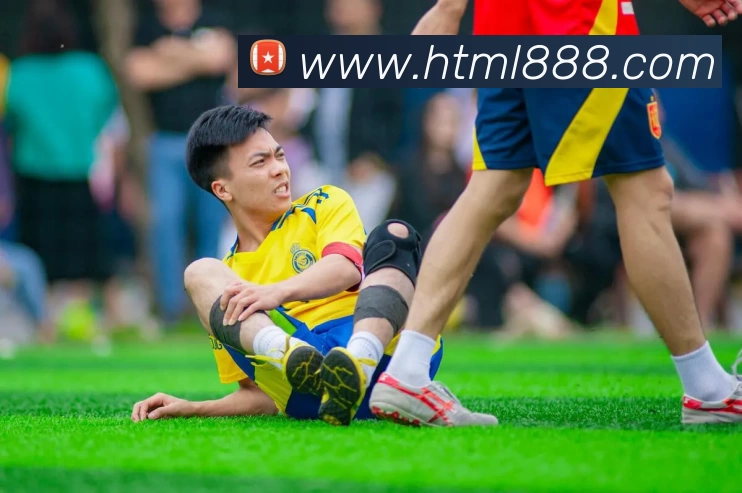 App Interface Preview